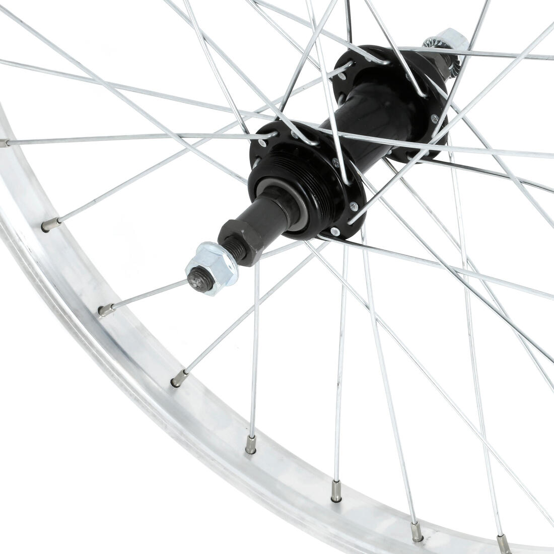 IMG_1008335995_1