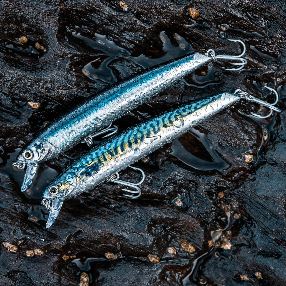 IMG_8734821_7