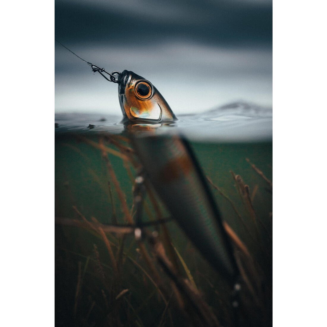 IMG_8641833_5