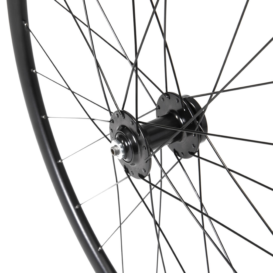 IMG_8666306_2
