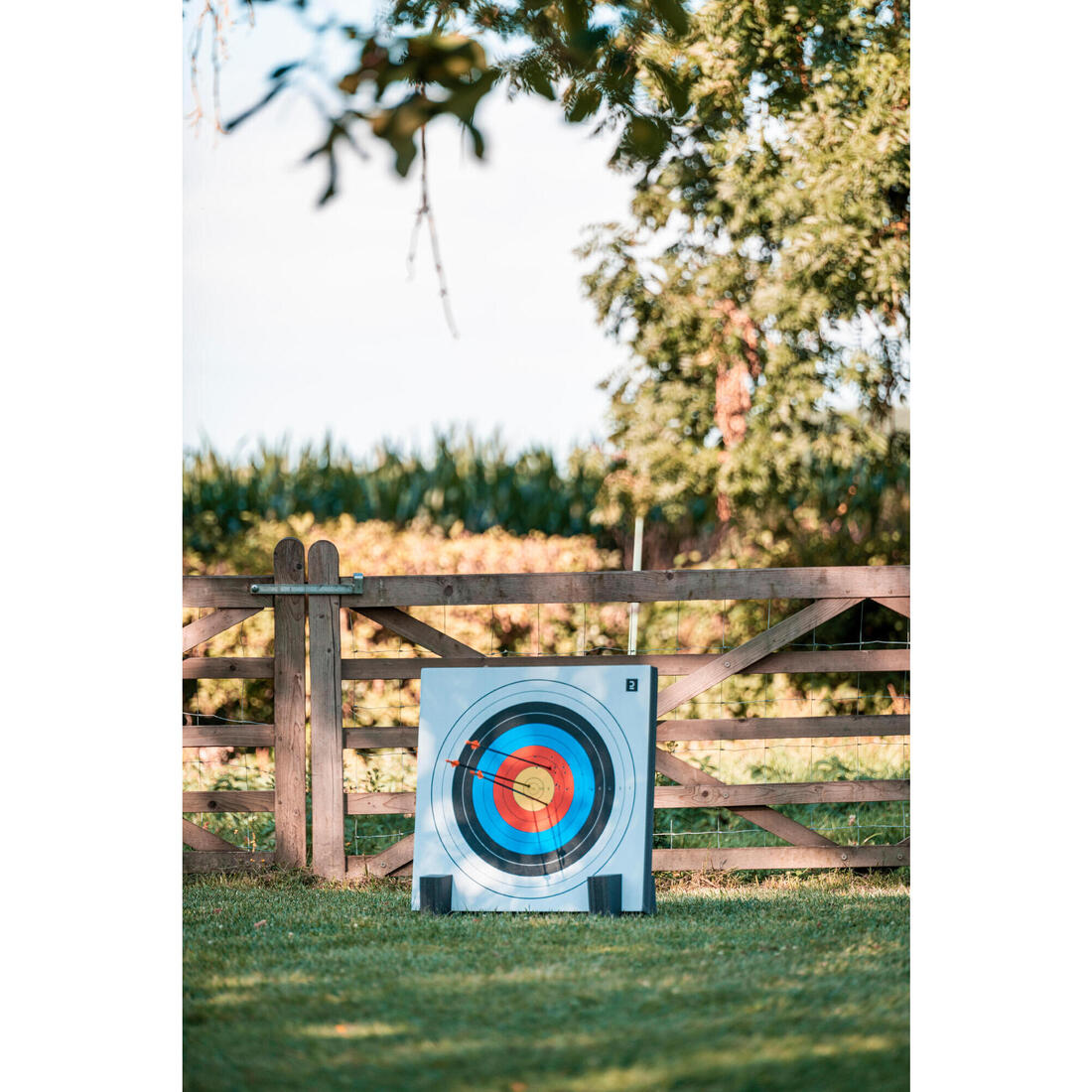 IMG_8388730_16