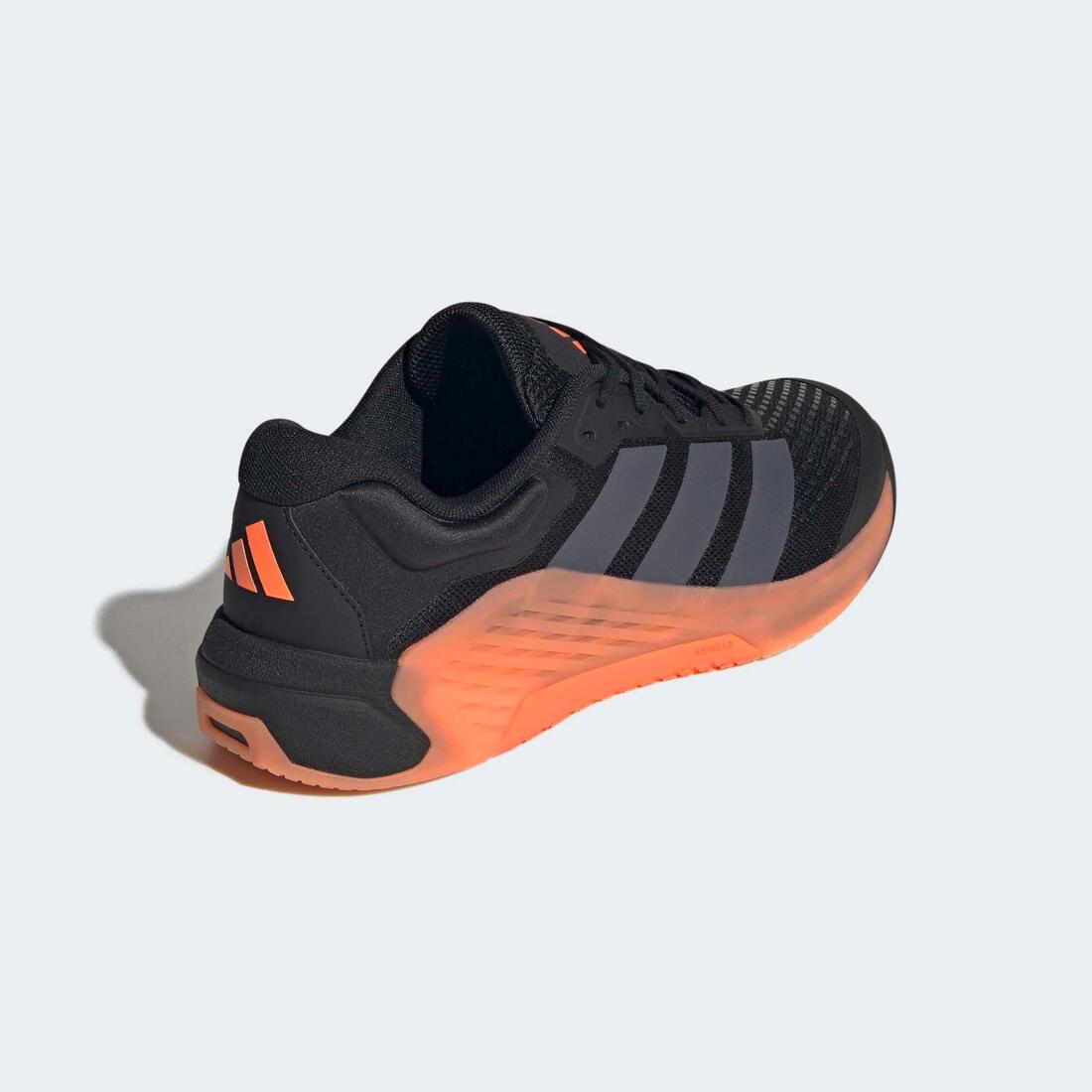 IMG_8995241_5
