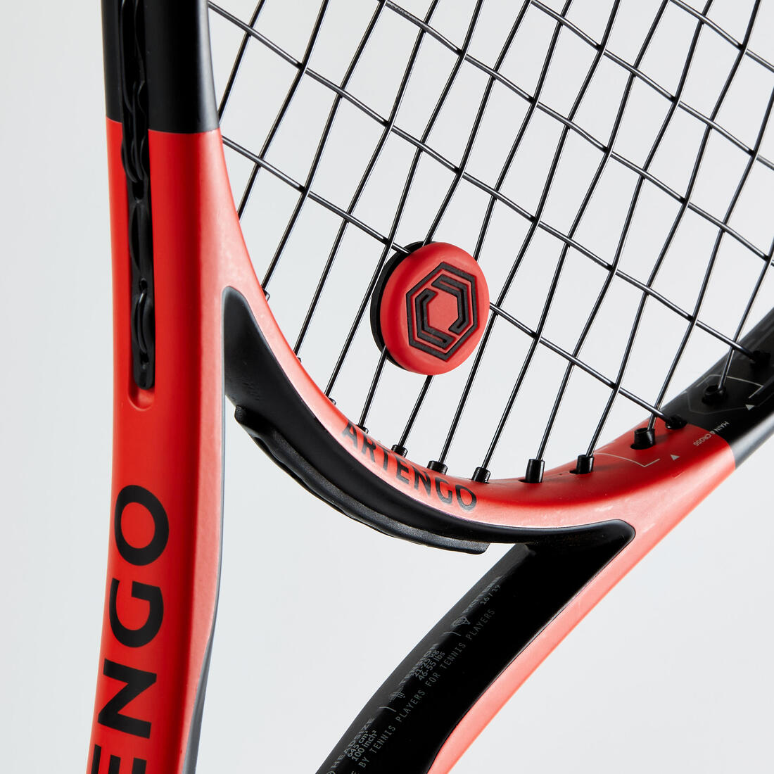 IMG_8558670_3