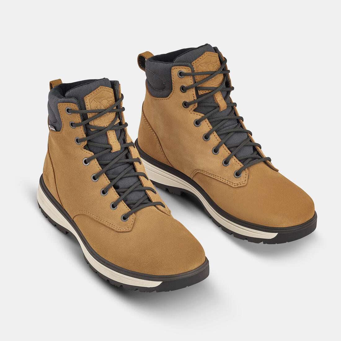 IMG_8641979_2