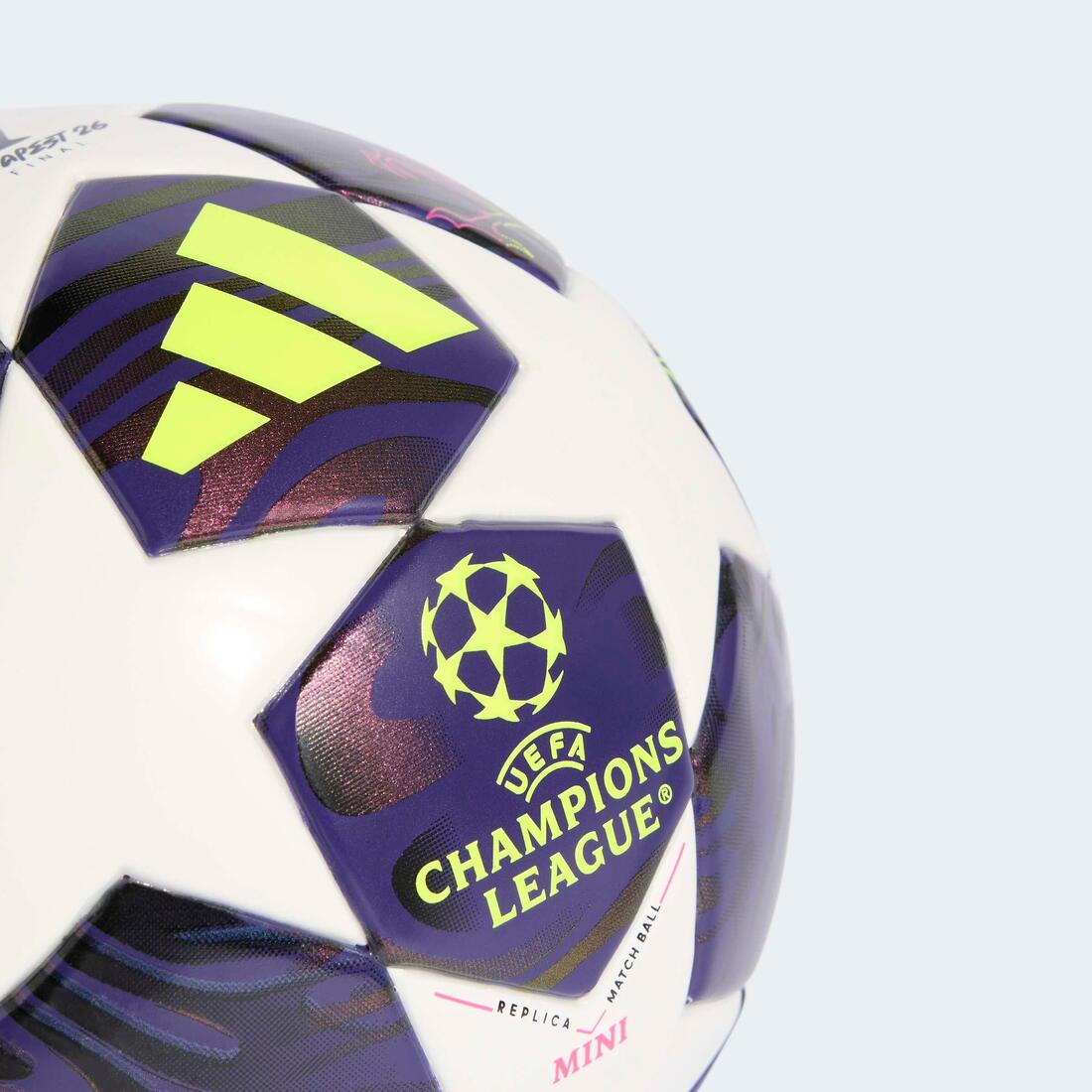IMG_8993511_2