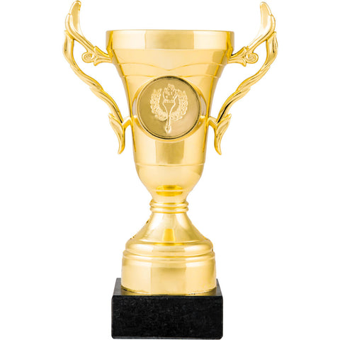 





C100 Cup 16cm - Gold