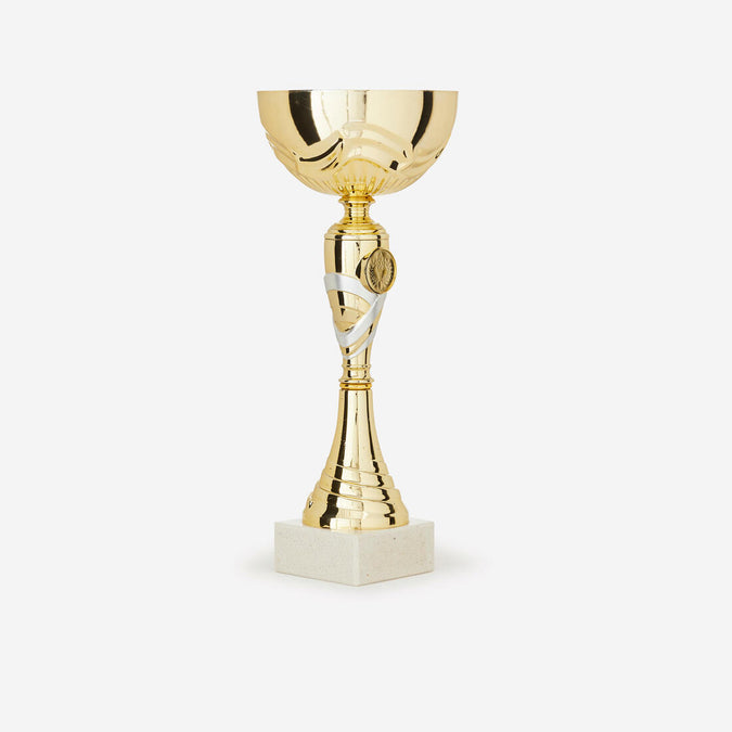 





C519 Trophy 29 cm - Gold, photo 1 of 5