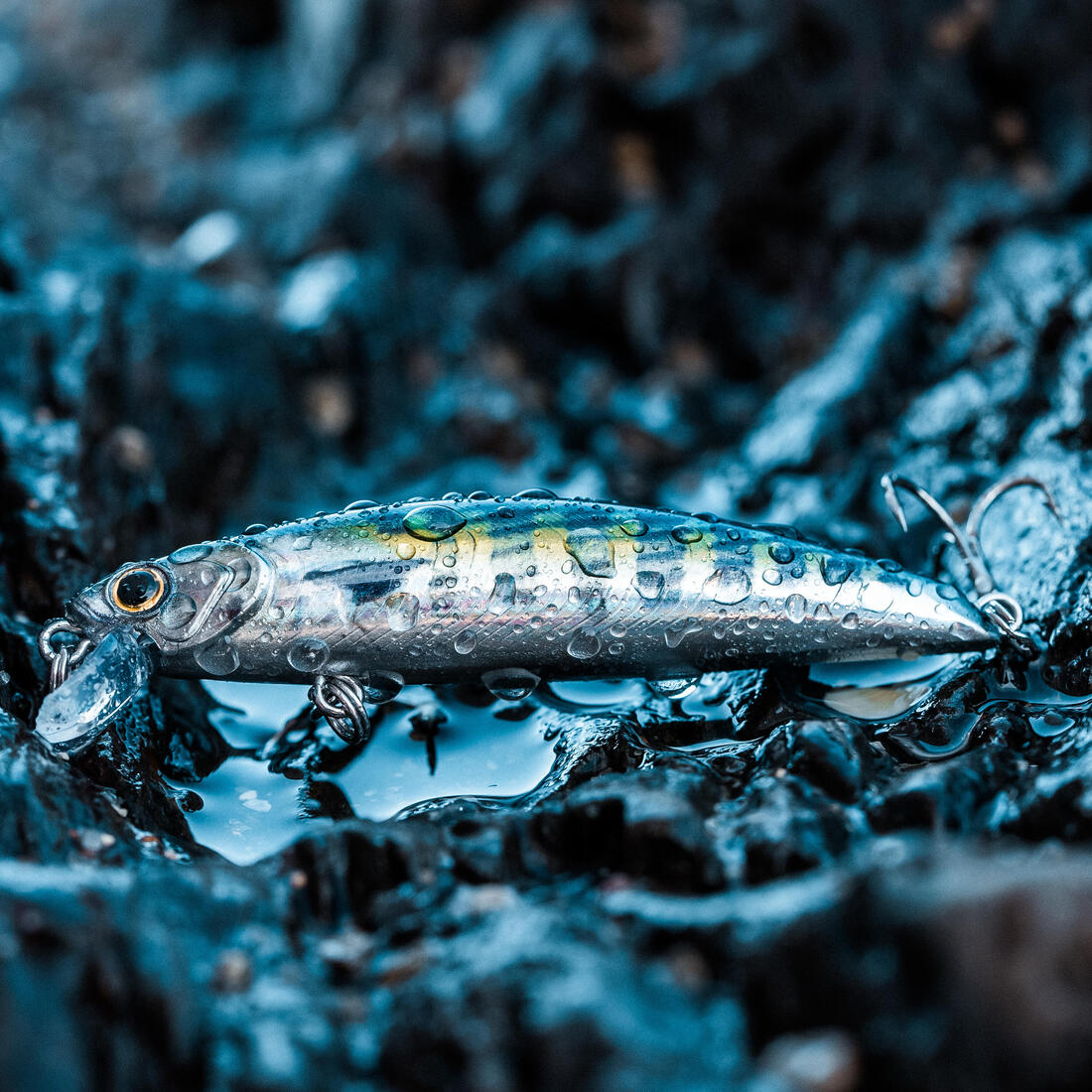 Hard lure sea fishing SAXTON 75 F BONITO