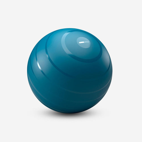 





Size 1 / 55 cm robust Swiss Ball