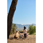 Product thumbnail 15 of 22
