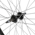 IMG_1035413