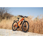 Product thumbnail 16 of 17