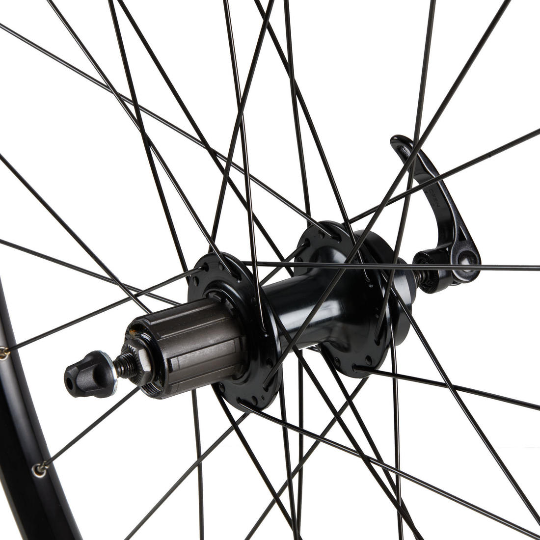IMG_8734758_2