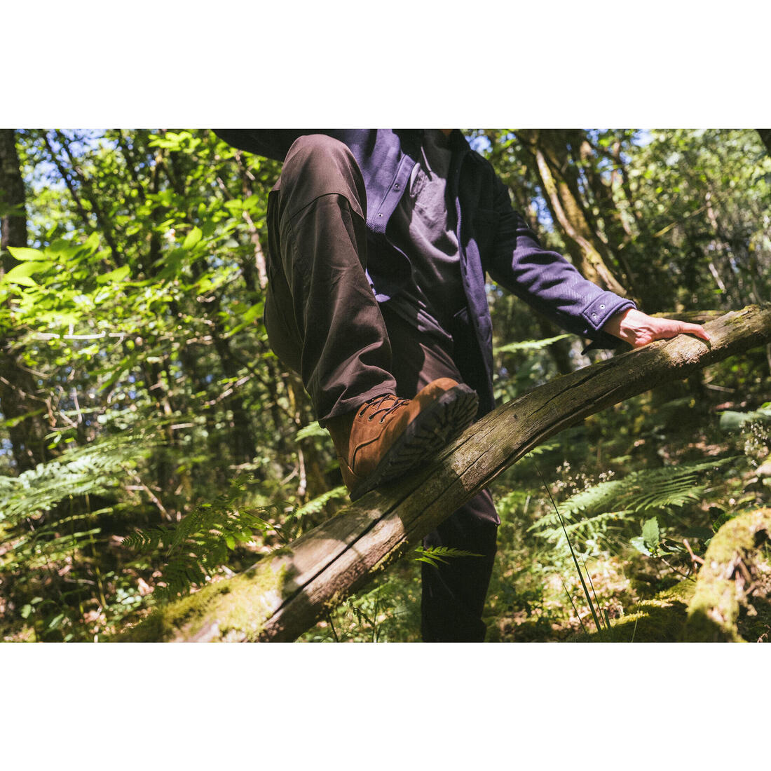 IMG_8758539_8
