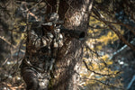 Product thumbnail 9 of 11