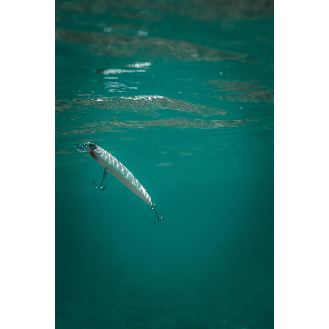 IMG_8606228_6