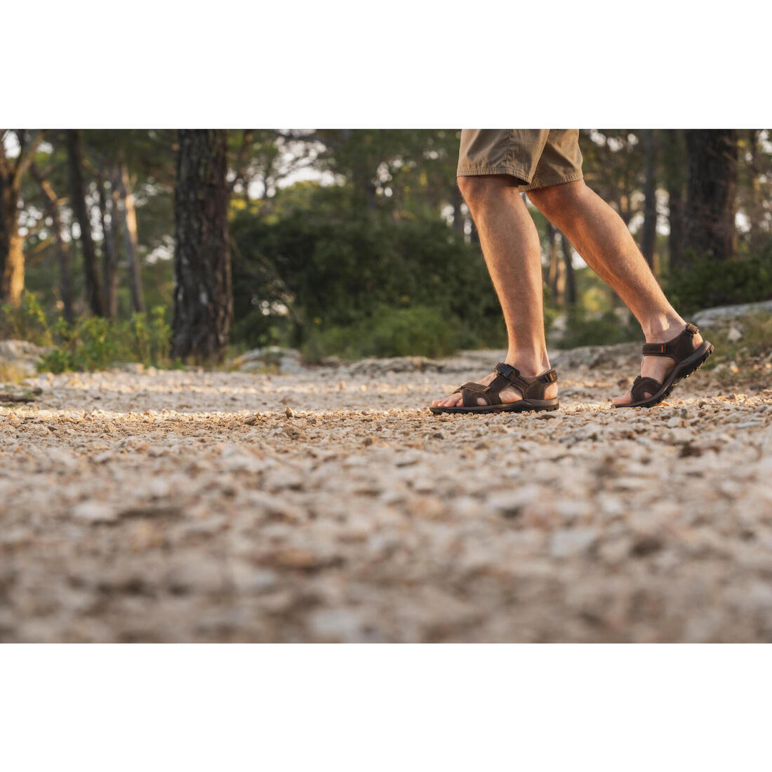 IMG_8583436_9