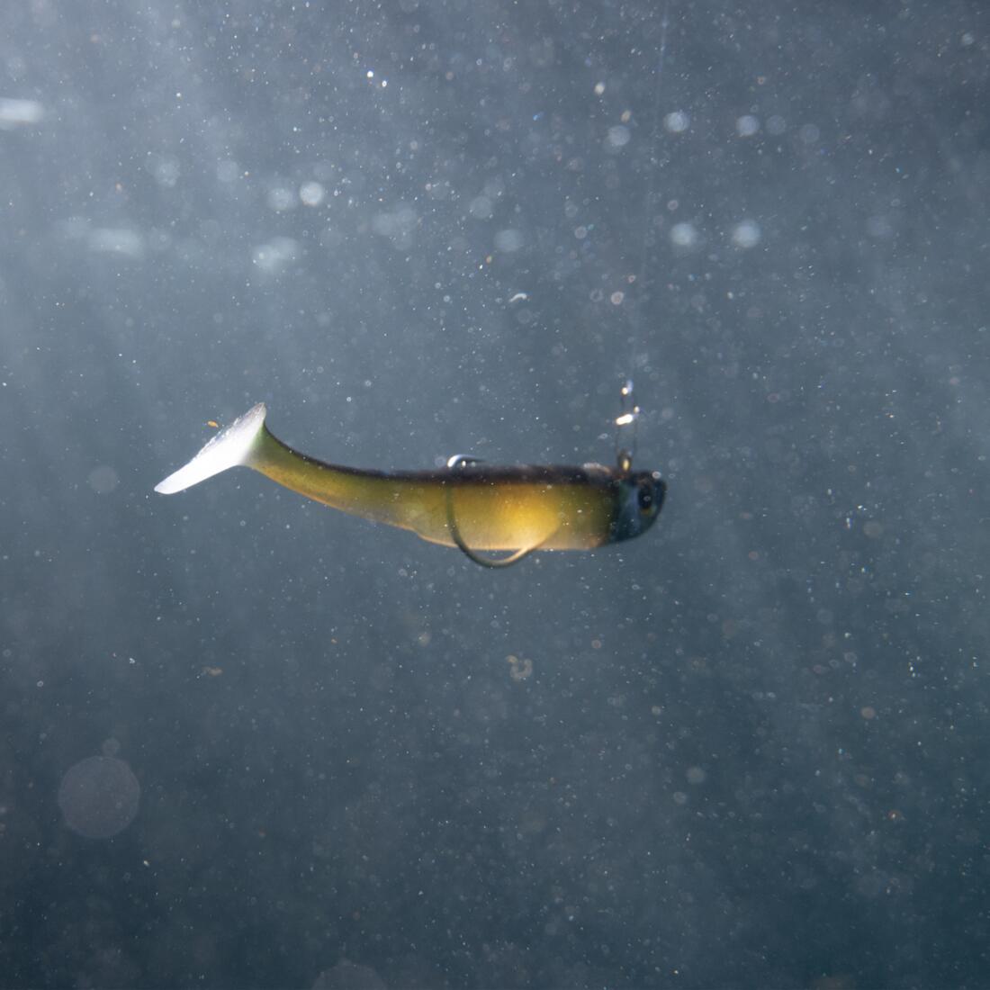 IMG_8643711_9