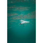 Product thumbnail 7 of 7