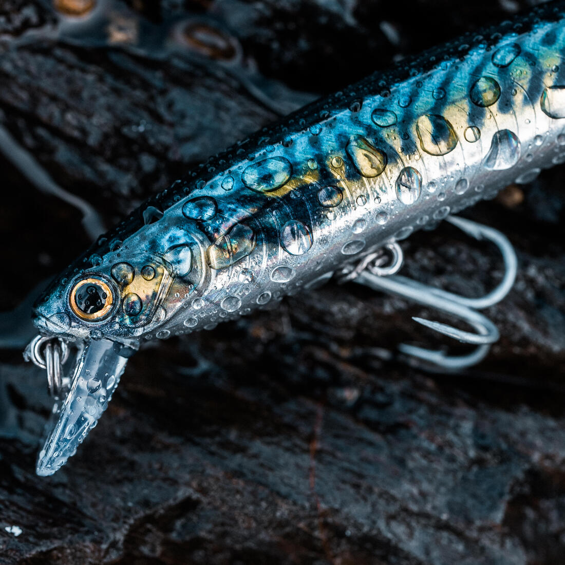 IMG_8734822_3