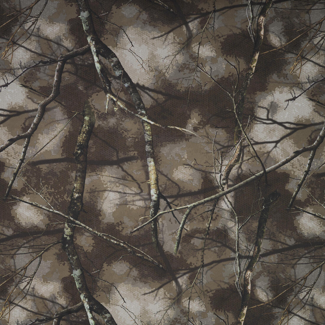 IMG_8589201_2