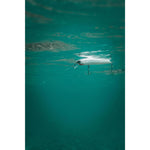 Product thumbnail 5 of 7
