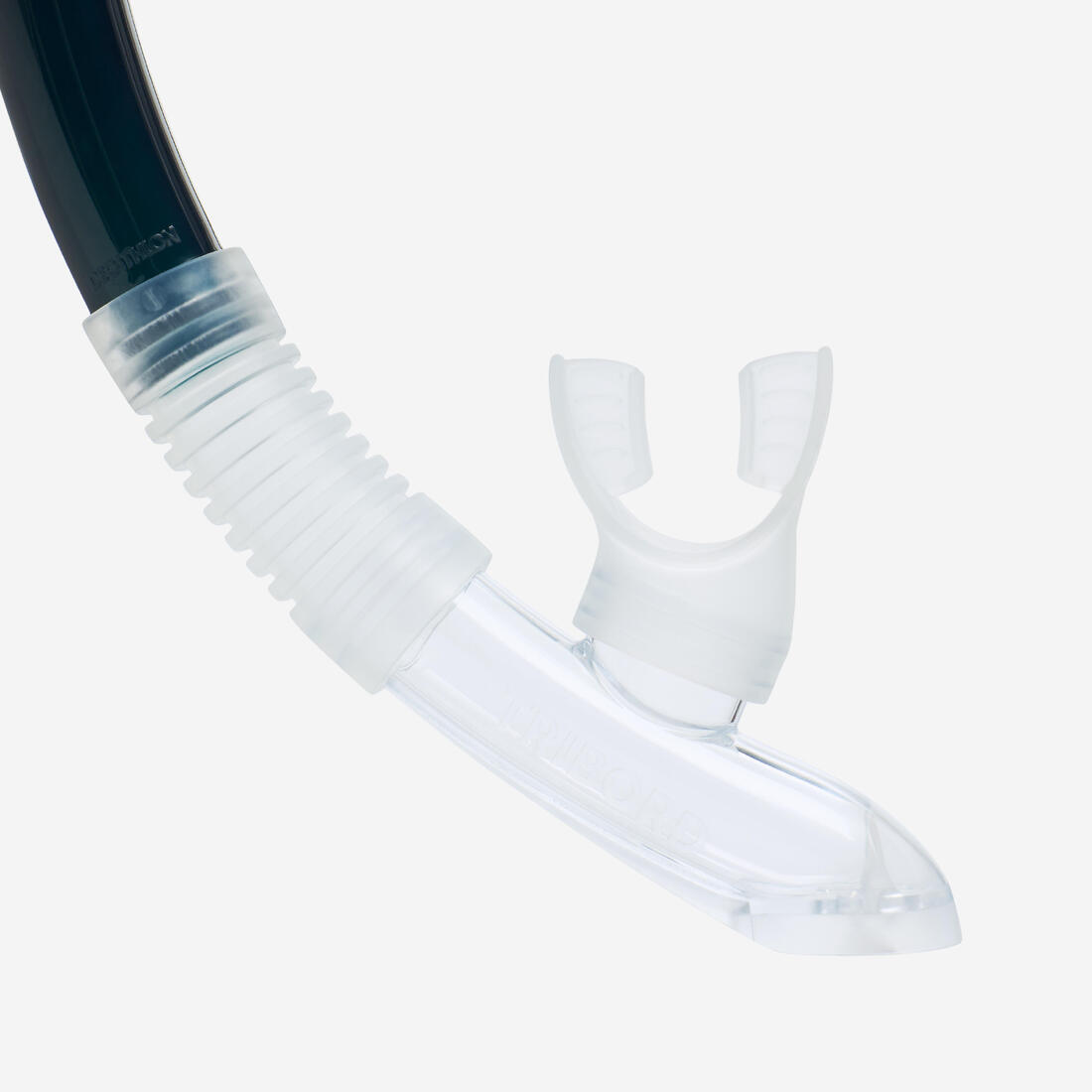 IMG_9002845_3