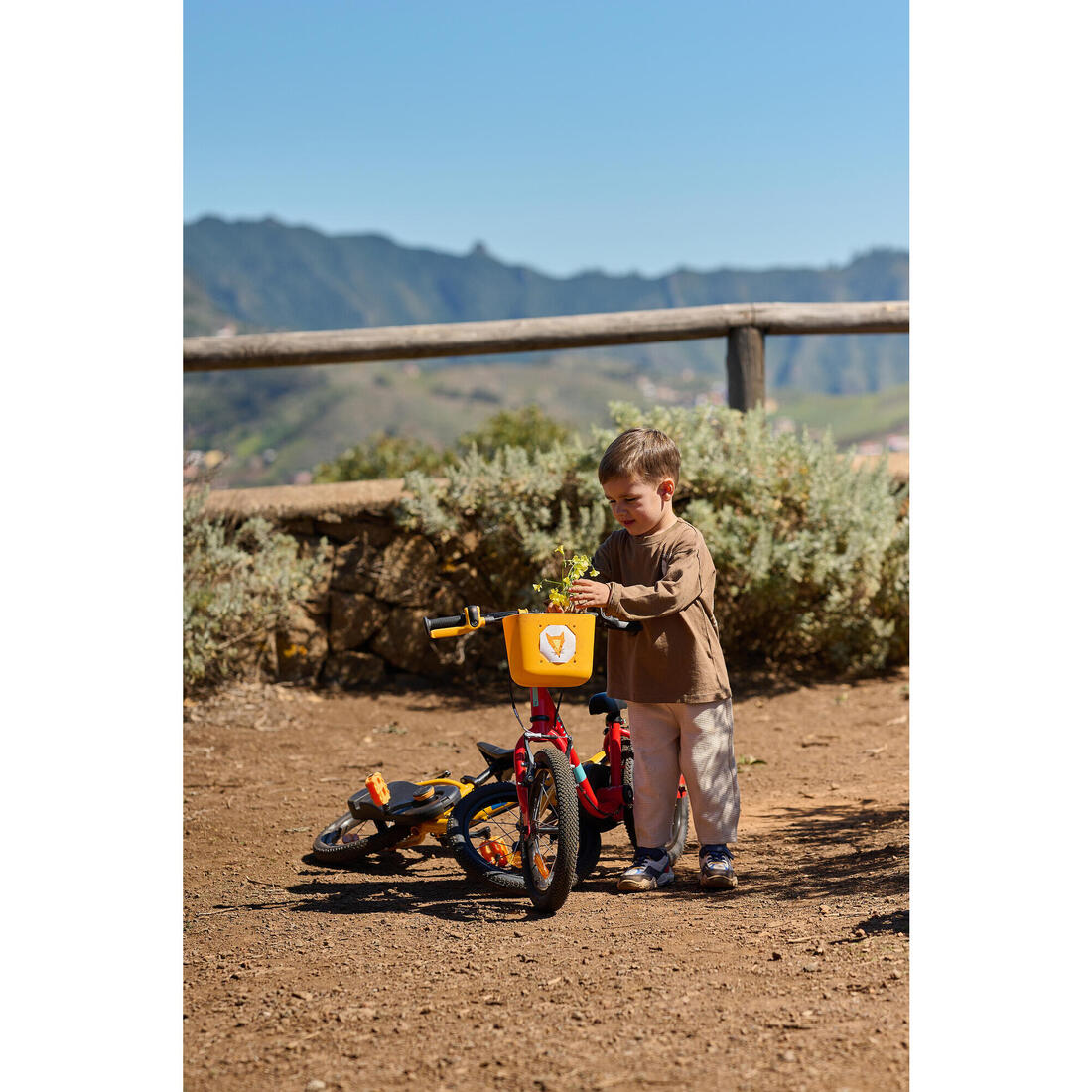 IMG_8842932_12