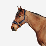 Product thumbnail 1 of 6