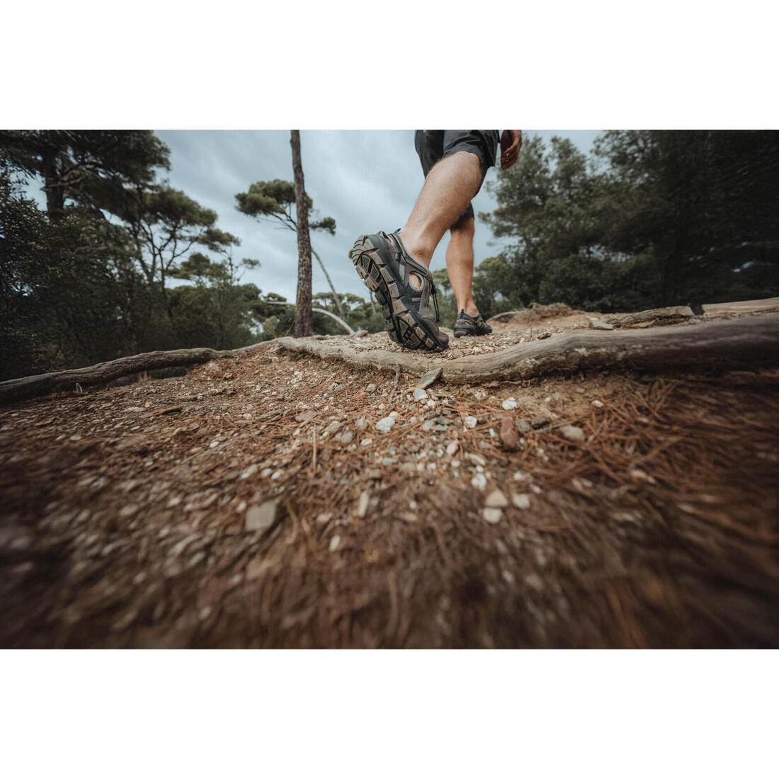 IMG_8588708_10