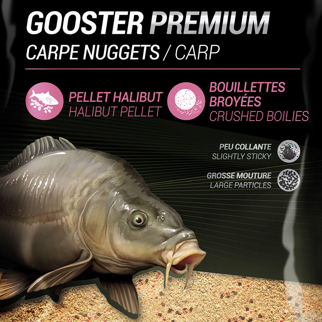 IMG_8574640_2