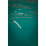 Product thumbnail 6 of 7