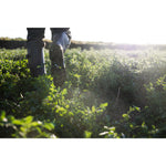 Product thumbnail 8 of 8