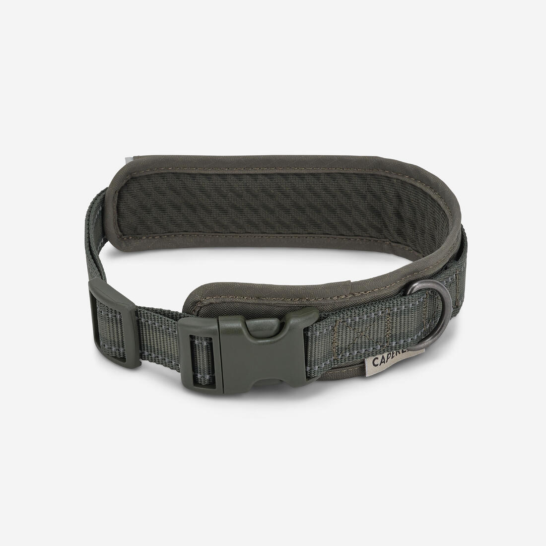 IMG_8807991_2