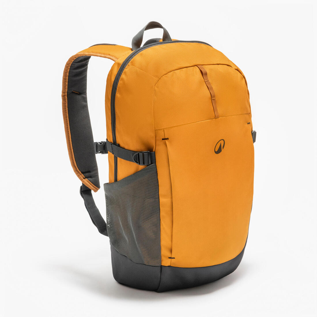 IMG_8955895_1