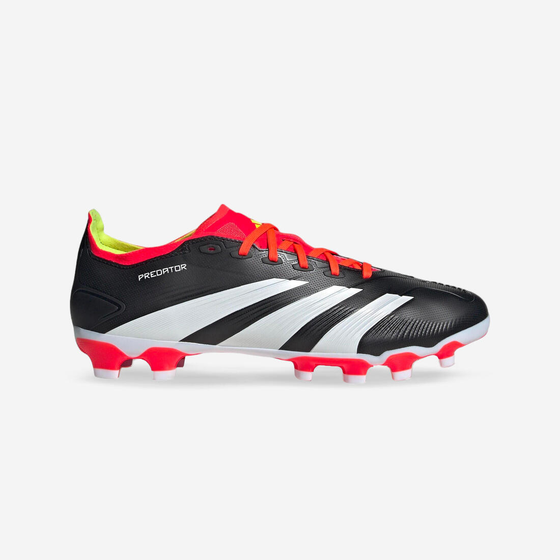 IMG_1008864222_1