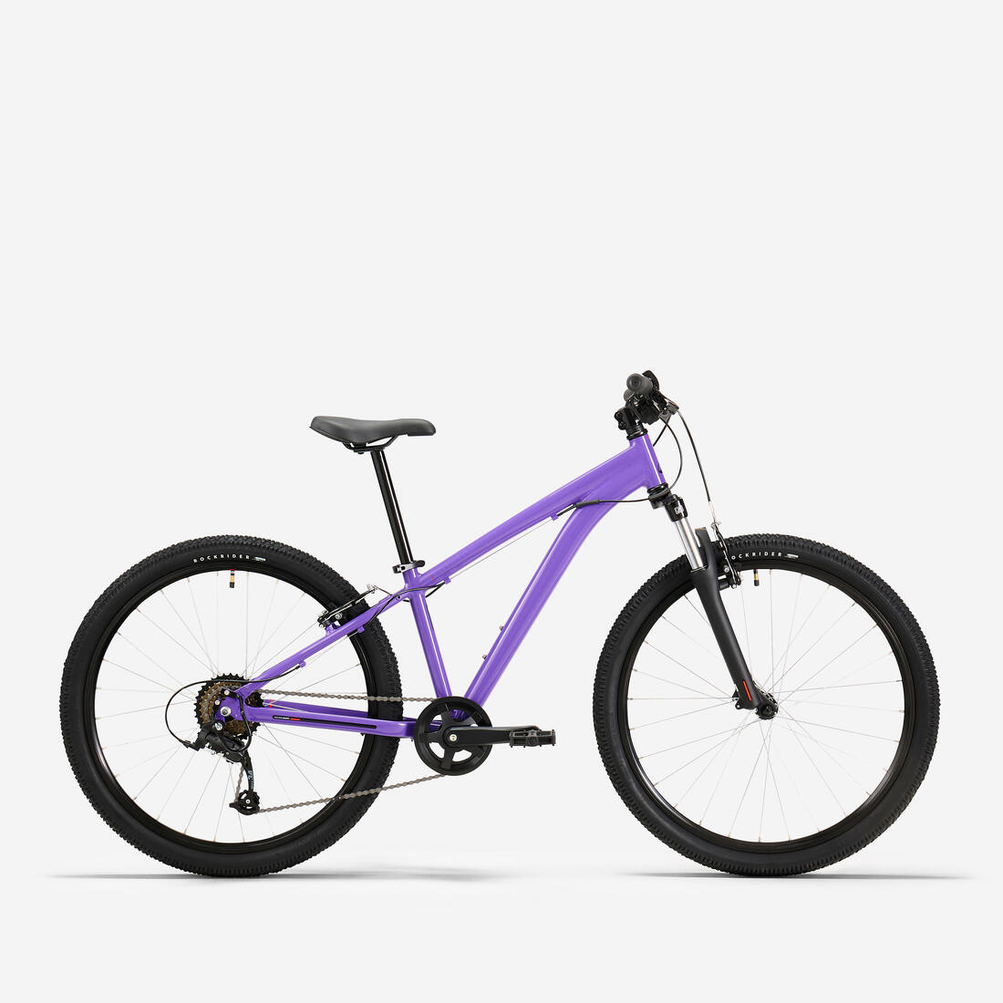 IMG_8774234_1